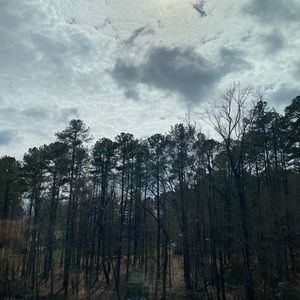 Meet your Posher, Wesley